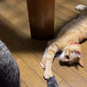 なんとかしてよの画像