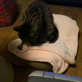 ふみふみの画像