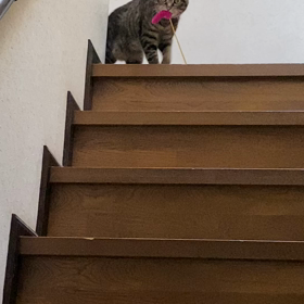 童心の画像