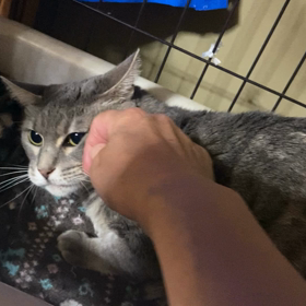 そんなに怒らないでの画像