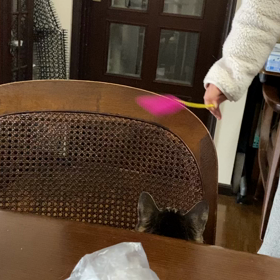 ププッの画像
