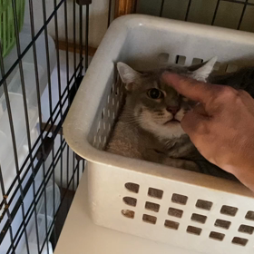 怖っの画像