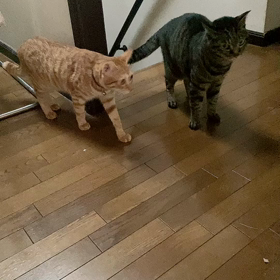 チャララ〜の画像