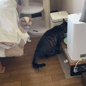 順番待ちの画像