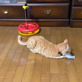 子供あるあるの画像