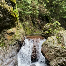 雨女健在の画像
