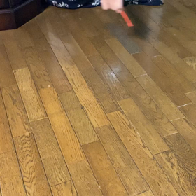 ハッスルの画像