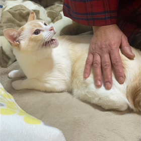 行かないで〜の画像