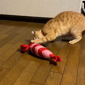 へっぴり腰の画像