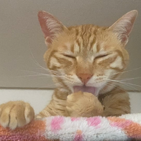一心不乱にの画像