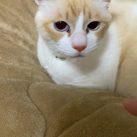 仲良くなるチャンス？の画像