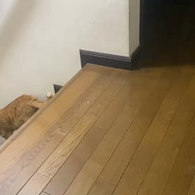 バトルの画像