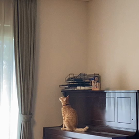 どした？の画像
