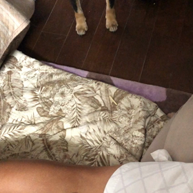 ボールがあればの画像