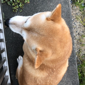春休みの画像