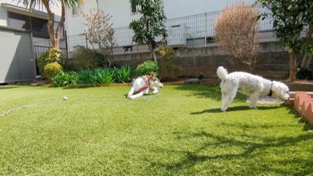 いい表情の記事動画
