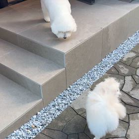今日は整理の画像
