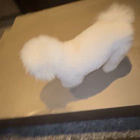 今日は浪費の画像
