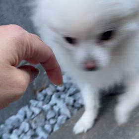 今日は学習の画像