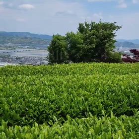 2025/05/23の画像