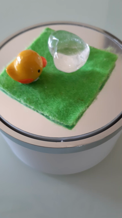 今日はにわとりの日の記事動画