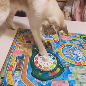人生ゲームの画像