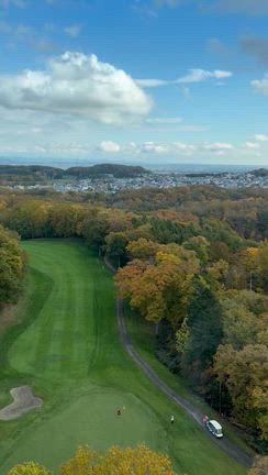 おうちごはんの記事動画