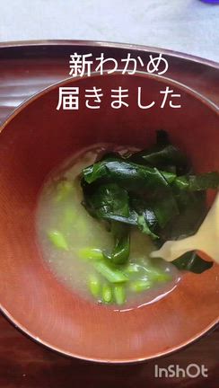 ご予約可能日の記事動画