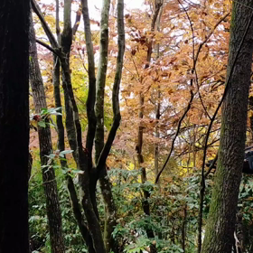 動画編集。。。の画像