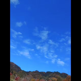 ”12/2㈯　『大人の遠足』採れたて野菜の農園ランチ♪@佐野”の画像