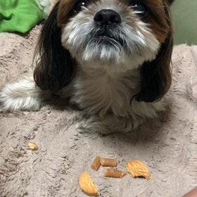 モッチくんのお誕生日♪̊̈♪̆̈の画像