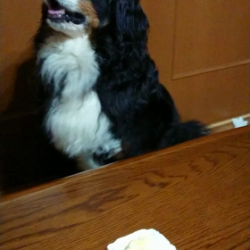 ＨＡＰＰＹ     ＢＩＲＴＨＤＡＹの画像