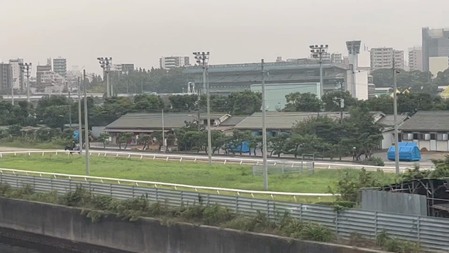 馬場だけに馬が好き！？の記事動画