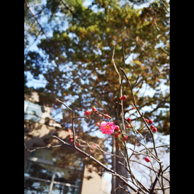 2021/02/03の画像