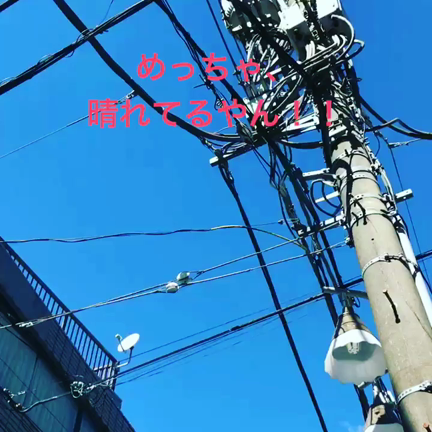台風一過。の記事動画