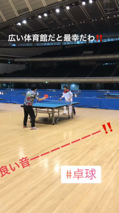 甲高い音。の記事動画