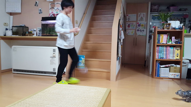 小春日記。の記事動画