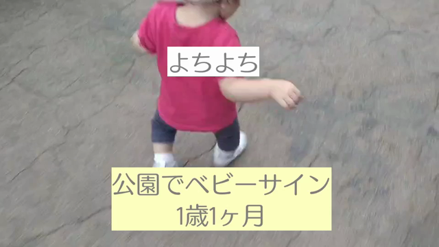 驚き映像！1歳1ヶ月の赤ちゃんベビーサインでこんなにおしゃべりができる！の記事動画
