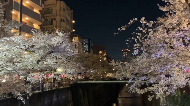 4月7日(火)本日のスタッフ☆まいの記事動画