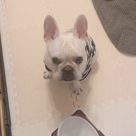 サインの画像