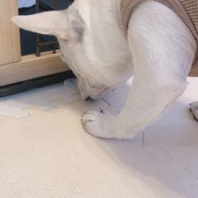 ☺︎なんでやねん☺︎の画像