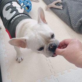 ほっぺがおちるーの画像
