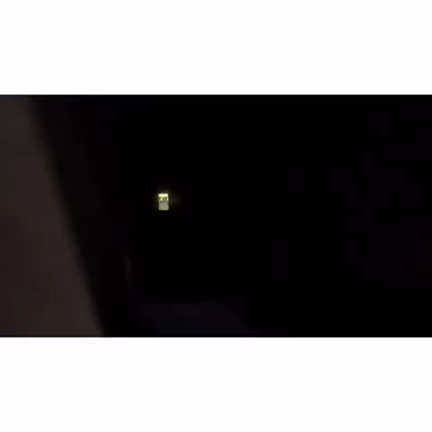 スケボーと俺とパクチー。の記事動画