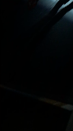 カナダライブ！！！！GORIの記事動画