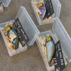 M3s工房】ハングマン シェルシリーズ | BACKLASH STAFF BLOG