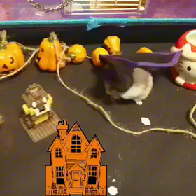 ハムスターのHelloween partyの画像