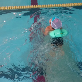 クロールもどきの画像