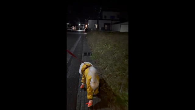 昨日の休日の記事動画