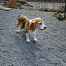 22日の画像
