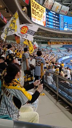 プロ野球観戦⚾️の記事動画